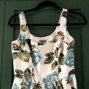 Ann Taylor 100% Silk Blue Roses Floral Lined Dress